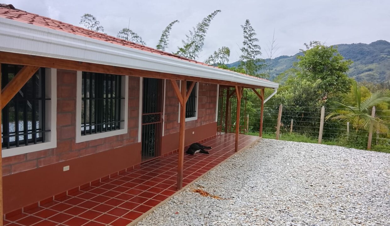 Bonilla (11)